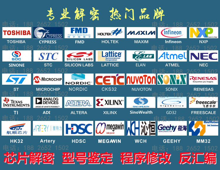 Atmel芯片解密软加密反汇编功能修改型号鉴定
